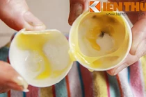 Hà tĩnh: Dân hoang mang vì trứng gà, vịt lạ