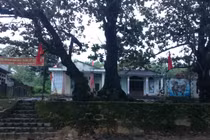 Bí ẩn khu rừng cấm “bất khả xâm phạm” độc nhất VN 