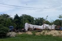 Quảng Ngãi: Tạm giữ xe chở cây “siêu khủng” sau hai ngày truy tìm