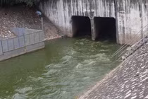 Nước sông Tô Lịch bất ngờ đổi màu, người dân tròn mắt đổ ra xem