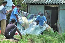 Gõ cửa nhà ngoại lúc nửa đêm, anh rể đâm chết em vợ