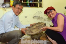 “Bom núi lửa” tìm thấy trên Tây Nguyên thực chất là gì? 