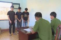 Thuê ô tô đi trộm nông sản trị giá hơn 1 tỷ đồng