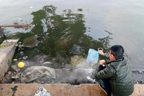 Mặt hồ ngập tro, rác thải vì người dân thả cá tiễn Táo quân