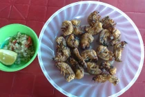 Cộc cộc nướng - món độc nhất vô nhị xứ Quảng