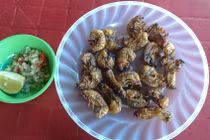 Cộc cộc nướng - món độc nhất vô nhị xứ Quảng