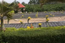 Sự thật rợn người nghĩa trang có 7.500 mộ hài nhi vô thừa nhận