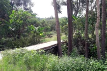 Nhân viên tư pháp nhiều lần giao cấu với bé gái 14 tuổi