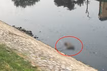 Hà Nội: Phát hiện xác chết nổi trên sông Tô Lịch