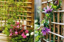 Cách làm giàn hoa leo đơn giản cho nhà đẹp