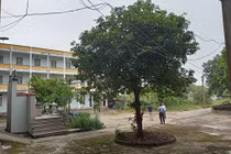 UBND tỉnh Thanh Hóa ra quyết định sai: Ai chịu trách nhiệm?