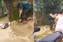 Video: “Cẩu tặc” bị đánh hội đồng, treo xác chó lên cổ