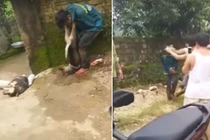 Video: “Cẩu tặc” bị đánh hội đồng, treo xác chó lên cổ
