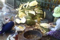 Sự thật tin đồn mít tẩm thuốc độc cho ngọt và vàng