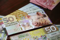 Tiền 2 USD in hình con heo đắt như tôm tươi trước Tết Kỷ Hợi 2019