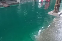 Dân kinh hãi “dòng sông” xanh lét xuất hiện sau mưa ở HN