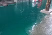 Dân kinh hãi “dòng sông” xanh lét xuất hiện sau mưa ở HN
