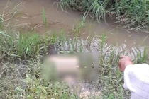 Phát hiện thi thể người đàn ông không mặc áo, nằm úp