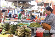 Thức từ 2 giờ sáng đi “săn” sản vật mùa nước nổi