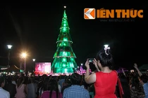 50.000 đồng một lần ngắm cây thông Noel 5 tỷ Bình Dương