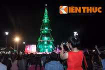 50.000 đồng một lần ngắm cây thông Noel 5 tỷ Bình Dương