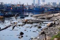 Âu thuyền lớn nhất Đà Nẵng bị rác thải bủa vây