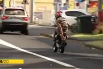 Thanh niên nhận quả đắng vì che biển số trốn cảnh sát 