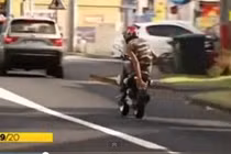 Thanh niên nhận quả đắng vì che biển số trốn cảnh sát 