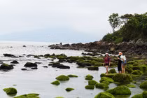 Đà Nẵng trưng cầu ý dân để điều chỉnh dự án ven biển 