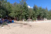 Thanh Hóa xóa rừng phòng hộ để làm dự án du lịch: Liên tiếp những văn bản khó hiểu