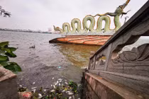 Xác cá, ba ba chết trôi dạt ven bờ hồ Tây