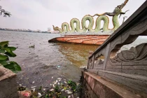 Xác cá, ba ba chết trôi dạt ven bờ hồ Tây