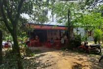  Chủ tịch Hội chữ thập đỏ xã bị ong đốt chết khi đi lấy mật