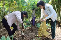 Chuyện chị em song sinh Líu và Lo nhường nhau vào đại học