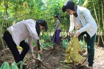 Chuyện chị em song sinh Líu và Lo nhường nhau vào đại học