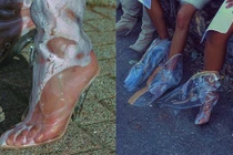 Sự thật đằng sau những đôi giày trong suốt sành điệu: Nóng và bốc mùi