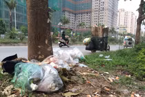 Rác thải bị vứt bừa bãi khiến đường phố Hà Nội nhìn như làng quê