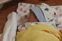 Lá thư trong hộp giấy có cháu bé sơ sinh bị bỏ rơi viết gì mà ai cũng ngó nhìn