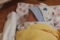 Lá thư trong hộp giấy có cháu bé sơ sinh bị bỏ rơi viết gì mà ai cũng ngó nhìn