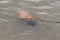 Phát hiện thi thể thiếu niên khỏa thân trên sông Cấm