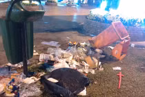 Hết Tết, rác ngập đường hoa Đà Nẵng 