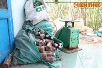 Kinh hoàng dòi lúc nhúc trong mắm tôm, tương bần