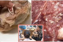 Những vụ tuồn rau bẩn, thịt thối vào trường học đầu độc học sinh