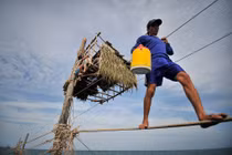 Điều ít biết về "phi đội" người nhện ở miền cực Nam Tổ quốc