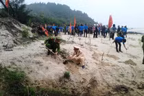 Hàng ngàn cây xanh được trồng tại khu mộ Đại tướng