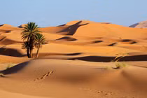 Vẻ đẹp mê hồn trên sa mạc níu chân du khách