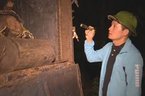 Giám đốc Công an tỉnh Đắk Lắk vi hành chỉ đạo bắt hàng loạt xe gỗ lậu