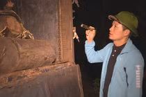 Giám đốc Công an tỉnh Đắk Lắk vi hành chỉ đạo bắt hàng loạt xe gỗ lậu