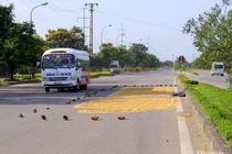 TP Vinh: Đường phố, vỉa hè 'biến' thành sân phơi lúa