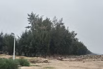 Thanh Hóa xóa rừng phòng hộ làm du lịch: Liệu có ban hành văn bản trái luật?